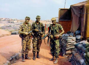 gl1610.jpg